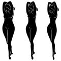 Collection. Silhouette of a beautiful woman figure. The girl is thin, slender and the woman is fat. The lady is standing