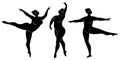 Collection. Silhouette of a cute lady, she is dancing ballet. A woman is overweight. The girl is plump, slim, thin. Woman