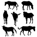 Collection of silhouette realistic horses, vector animal sign