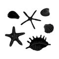 Collection of silhouette seashells different forms. Hand-drawn vector illustrations. Marine set. Design element for invitations,