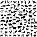 Collection silhouettes of animals. Animals silhouette set. Royalty Free Stock Photo