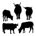 Collection silhouettes of cattle. Domestic farm animals - bull, cow and ox. Vector illustration. Isolated hand drawings Royalty Free Stock Photo