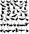 Collection of silhouettes of cranes in different positions Royalty Free Stock Photo