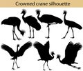 Collection of silhouettes of crowned cranes