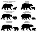 Silhouettes of bears and bear-cubs