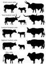 Collection of silhouettes of different species of cattle Royalty Free Stock Photo