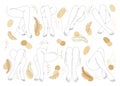 Collection. Silhouettes of female legs, feet and leaves of a plant in a modern style. . Set of vector illustrations.