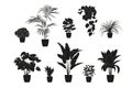 Collection silhouettes of houseplants in black color. Potted plants isolated on white. set green tropical plants. trendy home Royalty Free Stock Photo