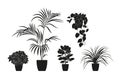 Collection silhouettes of houseplants in black color. Potted plants isolated on white. set green tropical plants. trendy home Royalty Free Stock Photo