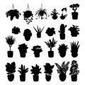 Collection of silhouettes of indoor plants. Pot plants isolated on white background. Simple vector illustration Royalty Free Stock Photo