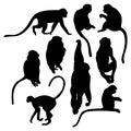 Collection silhouettes monkey. Vector illustration. Isolated primates on white background. Royalty Free Stock Photo