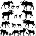 Collection of silhouettes of mooses also named elks and its cubs