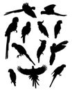 Collection silhouettes of parrots. Tropical birds macaw, cockatoo, budgerigar. Vector illustration. Isolated elements on