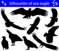 Collection of silhouettes of sea eagles Royalty Free Stock Photo
