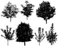 Collection of silhouettes of trees