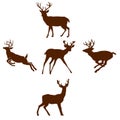 Collection of silhouettes of wild animals - the deer family