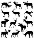 Collection of silhouettes of wild animals. Vector collection of deer silhouettes. Deer silhouette set.