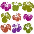 Collection of simple fruits icons with green leaves, harv