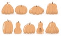 Collection of simple pumpkins of various shapes and sizes in a flat style