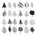 Collection of simple trees and leaves design. Vector illustration decorative design