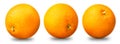 Collection of orange fruit isolated on white Royalty Free Stock Photo