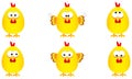 Collection of six funny yellow easter chickens with several expressions, vector illustration