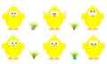 Collection of six funny yellow easter chicks with several expressions, vector illustration