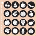 Collection of sixteen white fruit icons on the black stickers. Nice vector illustration design. Health and benefit concept