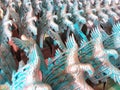 a collection of eagle statues