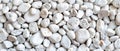 A collection of smooth, rounded pebbles in various shades of white and light gray, creating a serene and tranquil Royalty Free Stock Photo