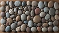 In shape and texture suggests a deliberate arrangement possibly for Royalty Free Stock Photo