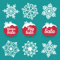 Collection of snowflakes and sale Winter discount