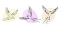 Collection of soaring swallows. Spring-themed design features birds in a linear style, adorned with watercolor splashes Royalty Free Stock Photo