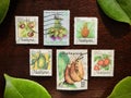 Collection of some fruits postage stamp from Malaysia.