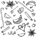 Collection of Spices and Fruit Slices. Anise, Cinnamon, Clove, Vanilla, Apple, Orange Peel. Hand Drawn Sketch Vector Illustration.