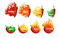 Collection spicy level of pepper with burning fire stickers vector flat spice seasonings scale