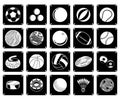 Collection of Sport Ball Icons on White Background