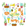 Collection of spring elements with cats in different poses, set of beautiful spring flowers and compositions, floral vector Royalty Free Stock Photo