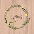 Collection of spring flowers, leaves, dandelion, grass. Royalty Free Stock Photo