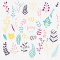 Collection of spring flowers, leaves, dandelion, grass. Royalty Free Stock Photo