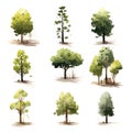 Collection of Spring trees. 9 isolated green color paintings
