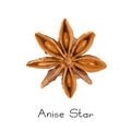 Collection of star anise, illicium or badiane isolated