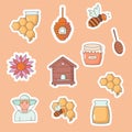 Collection of stickers honey. Bee, hive, honeycomb