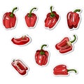 Collection of stickers of red hand drawn sweet peppers. Ink and colored sketch on white background. Whole and sliced objects. Royalty Free Stock Photo