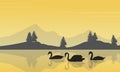 Collection stock of swan on lake silhouettes Royalty Free Stock Photo