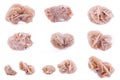 Collection of stone mineral Rose of the desert Royalty Free Stock Photo