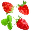 collection of strawberry isolated on white Royalty Free Stock Photo