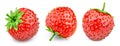 Collection strawberry isolated on white Royalty Free Stock Photo
