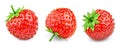 Strawberry leaf clipping path Royalty Free Stock Photo