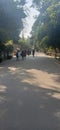 Collection of Students enjoying outing in Zoo